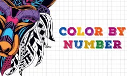 Color By Number