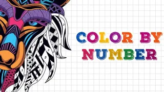 PLay Color By Number now!