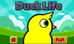 Duck Life 4