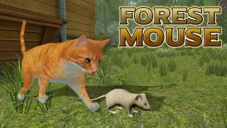 Forest Mouse