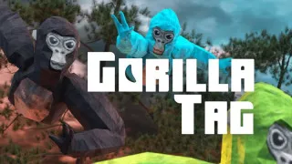 PLay Gorilla Tag now!