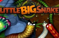 Play Little Big Snake now!