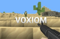 Play Voxiom.io now!