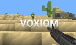 Voxiom.io