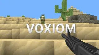 PLay Voxiom.io now!