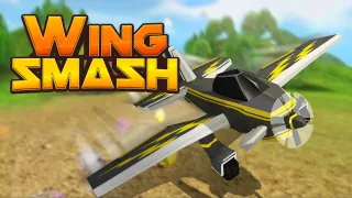 Play Wing Smash now!